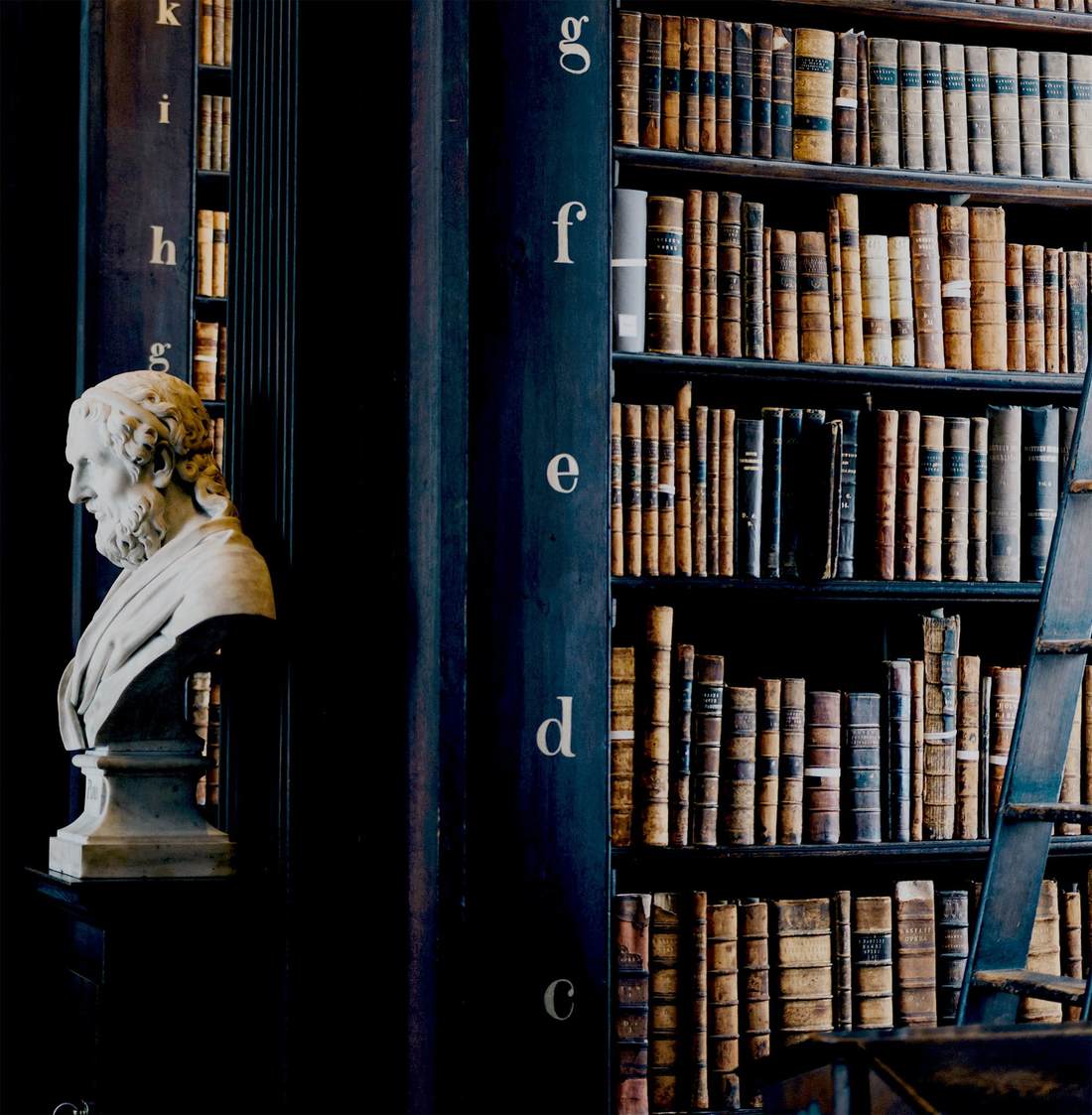 Marmorbyst på piedestal framför höga bibliotekshyllor fyllda med gamla skinnband